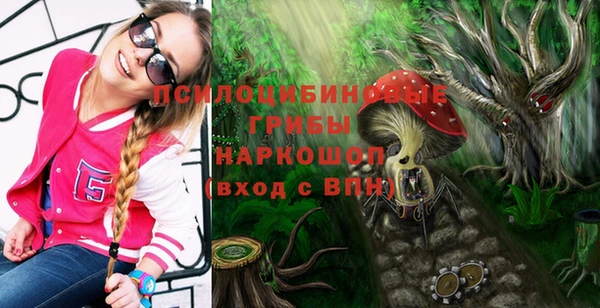 не бодяженный Абаза