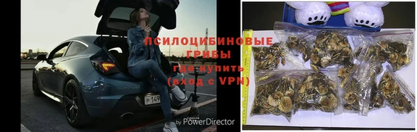 каннабис Абинск